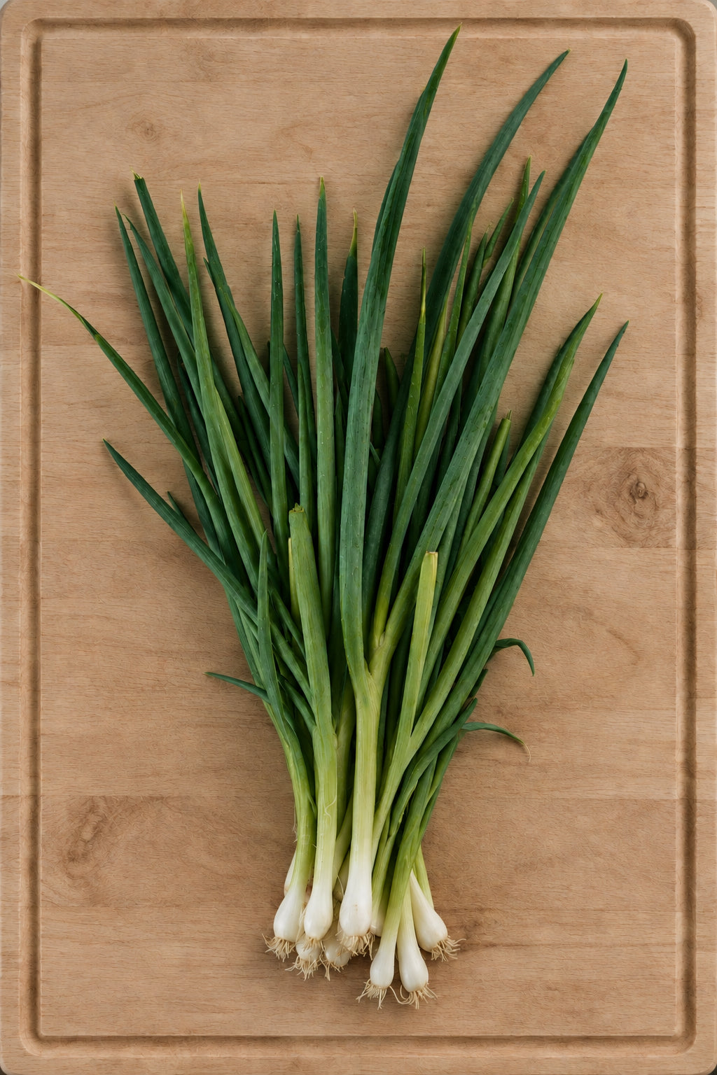 Welsh Onion Plug Plants - Hardy Perennial Bunching Onions