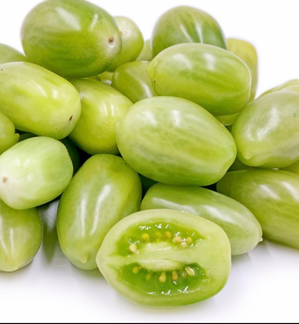 Tomato Plug Plants UK Grown – Choose Your Variety – Strong and Ready to Grow