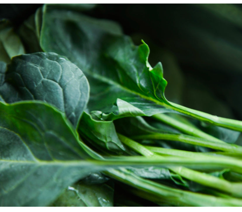 Collard Greens ‘Georgia’ ‘Southern’ Plug Plants! Grow a taste of the Deep South&nbsp;