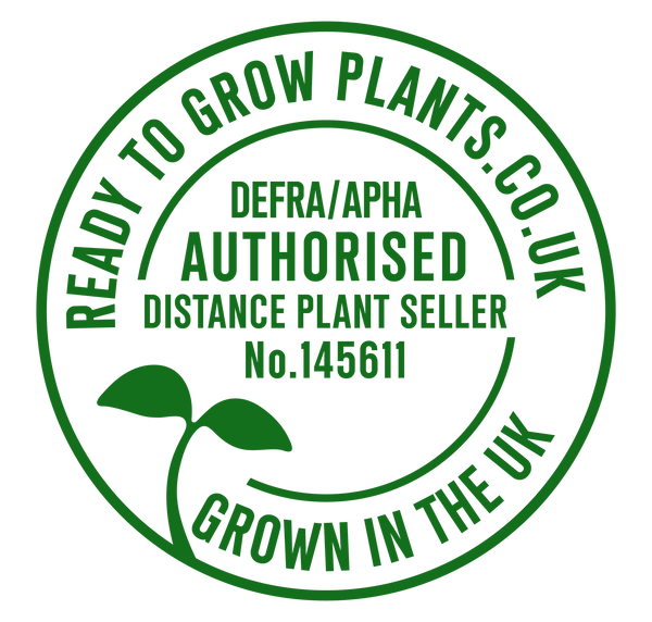 Ready to Grow Plants 