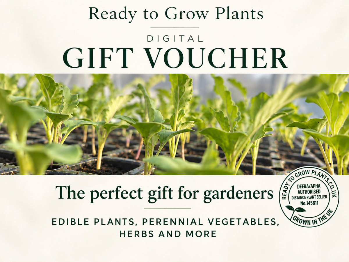 Ready to Grow Plants - Digital Gift Voucher