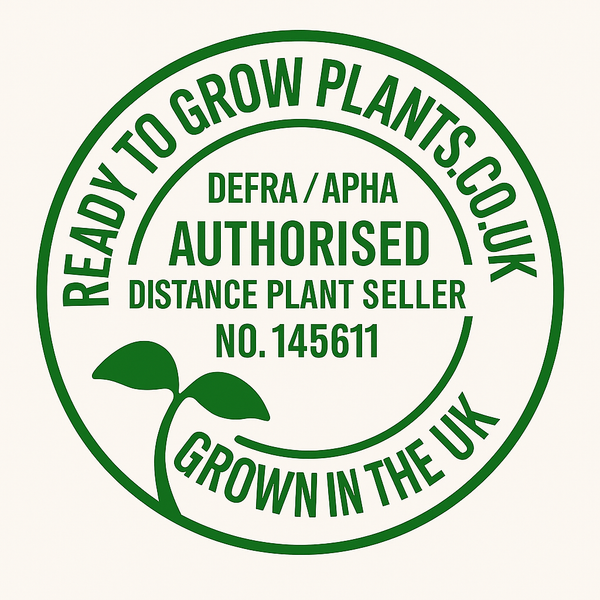 Ready to Grow Plants 