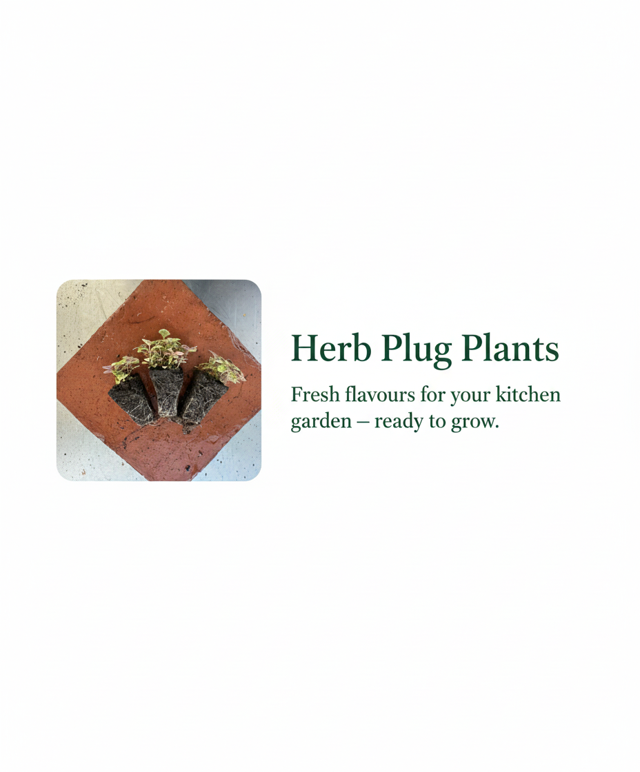 Herb Plug Plants Banner